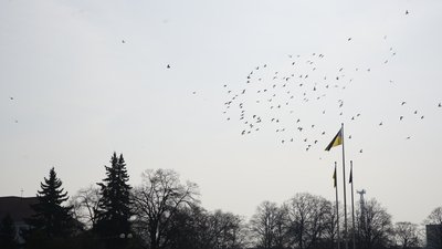 Якою буде погода на Закарпатті 27 лютого