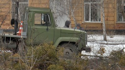 Прибирають також аварійні дерева