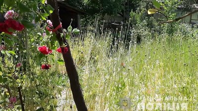 Близько тисячі стебел маку вилучили правоохоронці в закарпатки Близько тисячі стебел маку вилучили правоохоронці в закарпатки