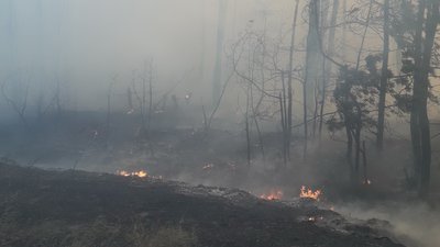 Пожежа на Харківщині