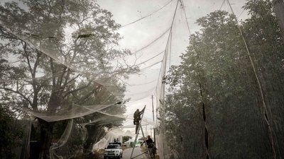 Антидронова сітка Донецька область