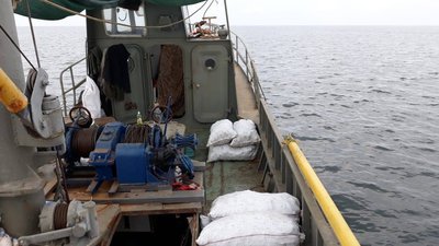 Понад 16 тисяч рапанів вдалося врятувати прикордонникам на Миколаївщині Понад 16 тисяч рапанів вдалося врятувати прикордонникам на Миколаївщині