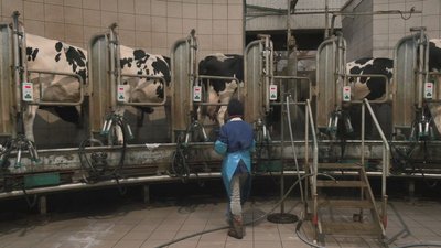 Без вихідних і на генераторі: як працює ферма на Черкащині в умовах відключень світла Без вихідних і на генераторі: як працює ферма на Черкащині в умовах відключень світла