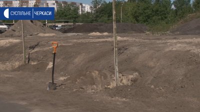 У Черкасах висадили платанову алею