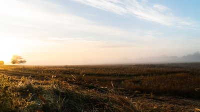 Чернігівська область. 6:30 Чернігівська область. 6:30