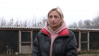 День волонтера: рівняни завезли допомогу в притулок для котів і собак День волонтера: рівняни завезли допомогу в притулок для котів і собак