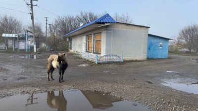 За 12 кілометрів від лінії фронту: як живе під обстрілами спустошіле Тернувате на Запоріжжі За 12 кілометрів від лінії фронту: як живе під обстрілами спустошіле Тернувате на Запоріжжі