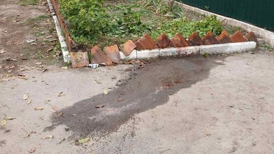Розпочався суд у справі водія, який у Бережинці збив дічинку насмерть Розпочався суд у справі водія, який у Бережинці збив дічинку насмерть
