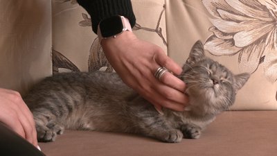 Перший і останній бій Василя Ферштея. Спогади про загиблого командира взводу розвідки з Івано-Франківщини Перший і останній бій Василя Ферштея. Спогади про загиблого командира взводу розвідки з Івано-Франківщини