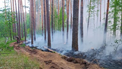Лісову пожежу в прикордонні Чернігівщини, яку спричинили російські обстріли, вдалося загасити Лісову пожежу в прикордонні Чернігівщини, яку спричинили російські обстріли, вдалося загасити