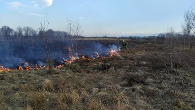 На Прикарпатті горіло понад 50 гектарів сухостою