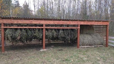 Лісівники Житомирщини облаштували майже 300 годівниць для диких звірів