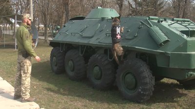Мінно-розшукові собаки українським кінологам передали колеги із семи європейських країн. Мінно-розшукові собаки українським кінологам передали колеги із семи європейських країн.