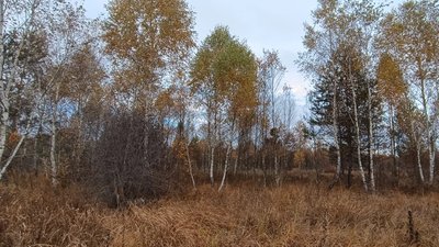 Територія майбутнього заказника "Кави"