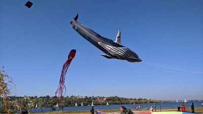 "Одне небо — один світ": у Миколаєві закрили сезон запуску повітряних зміїв