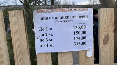 Ціна залежить від висоти: продаж новорічних дерев Ціна залежить від висоти: продаж новорічних дерев