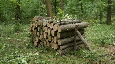 На Кіровоградщині заготовляють дрова на зиму. Які ціни та попит На Кіровоградщині заготовляють дрова на зиму. Які ціни та попит