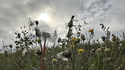 Хмарна погода у Дмитрівці Донецької області