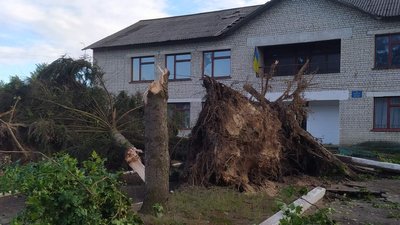 Пошкоджені дахи та повалені дерева: в селі на Волині ліквідовують наслідки буревію