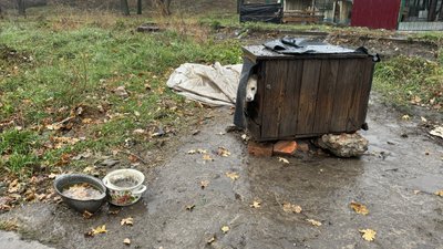 Скарги на жорстоке поводження з тваринами у відпочинковому комплексі, Ромни