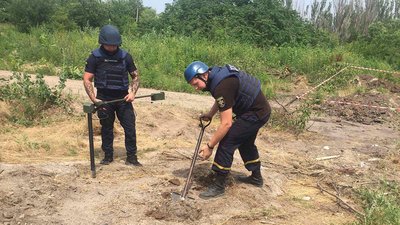 У мікрорайоні Миколаєва знайшли понад пів сотні артилерійських снарядів У мікрорайоні Миколаєва знайшли понад пів сотні артилерійських снарядів