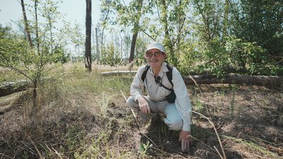 Юрій Бенгус перевіряє, як у Журавлівському лісі прижилися дуби