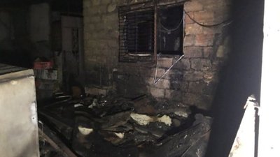 Близько 400 тварин врятували під час пожежі в Одесі
