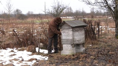 На "запорожці" їздить до магазину: історія 85-річного волинянина На "запорожці" їздить до магазину: історія 85-річного волинянина
