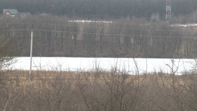 На верхньому Побужжі це прибережна захисна смуга Шедрівського орнітологічного заказника. Фото: Суспільне Поділля. На верхньому Побужжі це прибережна захисна смуга Шедрівського орнітологічного заказника. Фото: Суспільне Поділля.