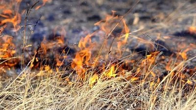 Наслідки пожеж на Миколаївщині. Держінспектори зафіксовували забруднення повітря у Куцурубській громаді