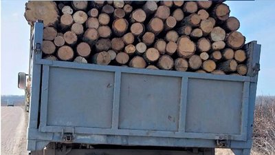 У Кіровоградській області затримали перевізника деревини без відповідних документів