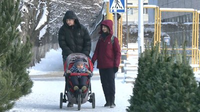Попиту немає: у Черкасах стартував сезон торгівлі новорічними ялинками