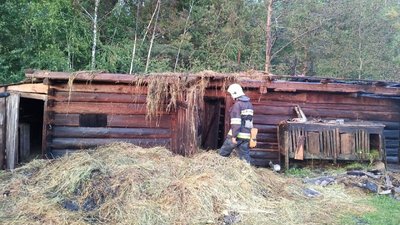 "Хотів подивитися, як горять сірники": на Волині п'ятирічний хлопчик підпалив сіно та будівлю