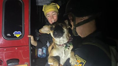 Жителька села Стариці разом з трьома собаками вийшла з-під обстрілів