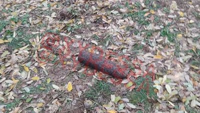 У парку в Одесі знайшли артснаряд часів Другої світової війни У парку в Одесі знайшли артснаряд часів Другої світової війни