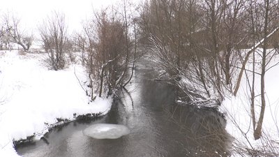 У річці Нараївка амоній перевищує норму удев’ятеро. Держекоінспекція Карпатського округу