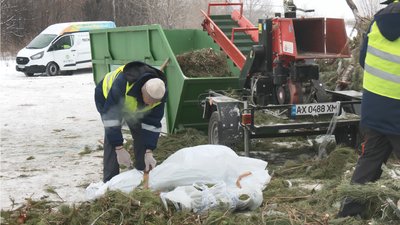 Як у Харкові утилізують ялинки Як у Харкові утилізують ялинки