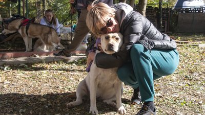 У Чернівцях планують облаштувати ще два майданчики для вигулу собак за майже мільйон гривень: де саме