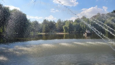 Підсумували осінь Підсумували осінь