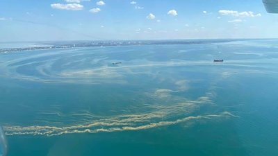 Чорне море біля Одеси “зацвіло”: купатися та їсти морепродукти тимчасово не рекомендують Чорне море біля Одеси “зацвіло”: купатися та їсти морепродукти тимчасово не рекомендують