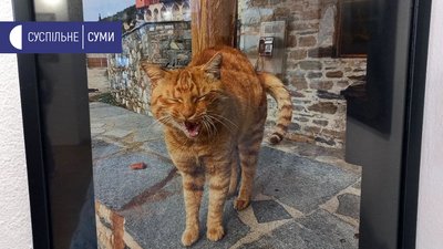 Фотовиставку Артура Скоробагатського презентували у сумській галереї Фотовиставку Артура Скоробагатського презентували у сумській галереї