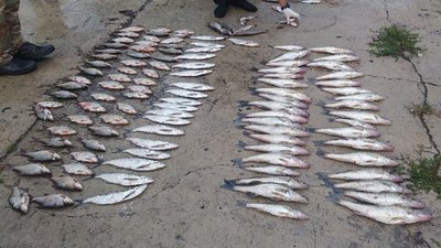 На Черкащині чоловік "наловив" риби на понад 263 тисячі гривень