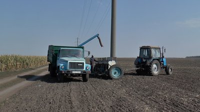 На Полтавщині озимими культурами засіють понад 260 тисяч гектарів землі