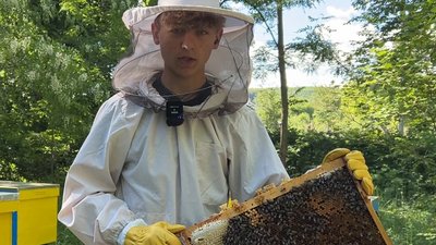 Студентська пасіка