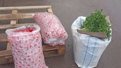 На ринку Житомира вилучили з продажу 20% овочів через перевищений рівень нітратів На ринку Житомира вилучили з продажу 20% овочів через перевищений рівень нітратів