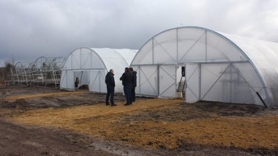 Збудовані теплиці Збудовані теплиці