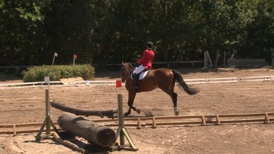 Обласний чемпіонат з кінного спорту Обласний чемпіонат з кінного спорту