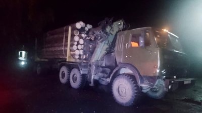 На Закарпатті поліцейські вилучили вантажівку з нелегальною лісопродукцією