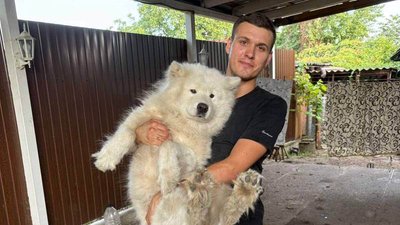 Нова пошта, собака