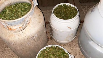 На Буковині оголосили про підозру чоловікові, який зберігав на горищі 100 кілограмів конопель